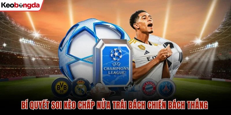 Kèo chấp nửa trái