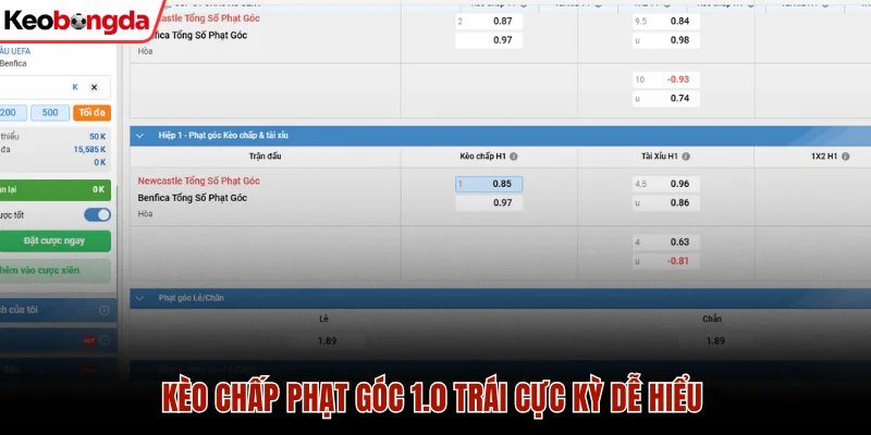 Kèo chấp phạt góc 1.0 trái cực kỳ dễ hiểu