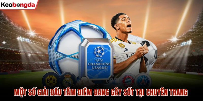 Một số giải đấu tâm điểm đang gây sốt tại chuyên trang