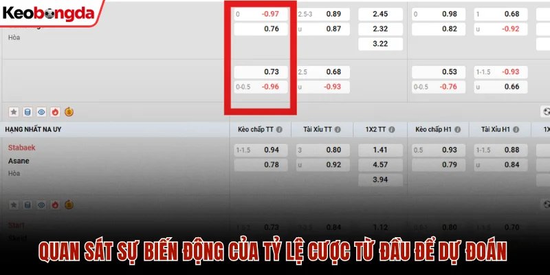 Quan sát sự biến động của tỷ lệ cược từ đầu để dự đoán