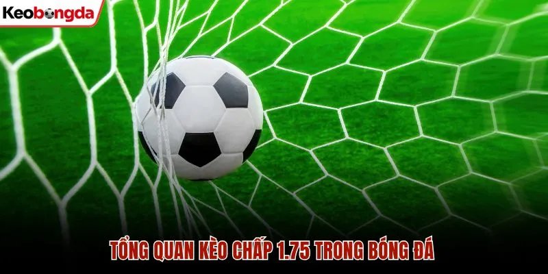 Tổng quan kèo chấp 1.75 trong bóng đá