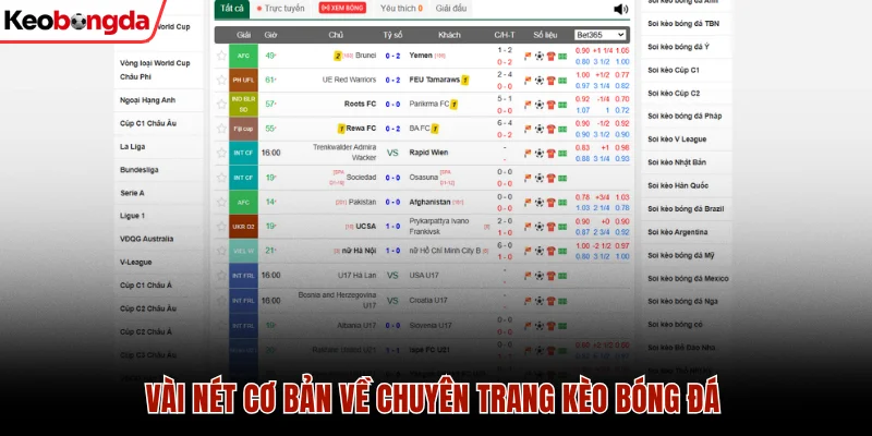 Kèo Bóng Đá cập nhật nhiều giải đấu lớn nhỏ trên toàn cầu